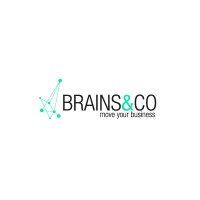Brains&Co Logo