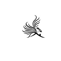 Phoenix Loans Logo