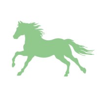 Paddock Consultancy Logo
