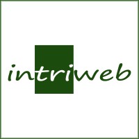 InTriWeb - Onlinemarketing, Webdesign, Seo Logo
