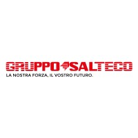 Gruppo Salteco Logo