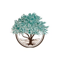 Camphora Engineering Logo