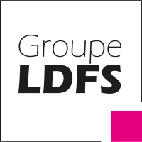LDFS GROUPE Logo