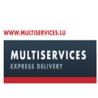 Multiservices Express Delivery Logo