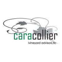 iVineyard Advisors, LLC Logo