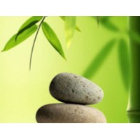 Being Mindful in Divorce Logo
