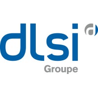 Groupe DLSI Logo