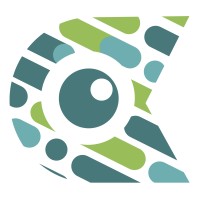 PI-Minds development and consulting Logo