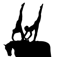 Lindqvist Voltige Logo