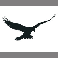 Corvus Capital, LLC Logo