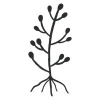 TERRA CERES (Hectar S3) Logo