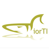iorTI consulting S.C. Logo