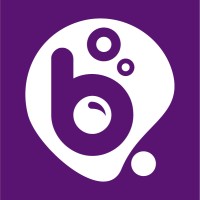 Bubblez Planejamento Digital Logo