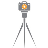 Pawsey Photography Logo