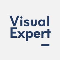 Visual Expert Logo
