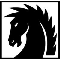 Dark Horse Commercial Real Estate Logo