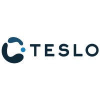 Teslo Logo