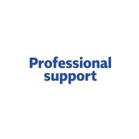 Professional support s.r.o. Logo