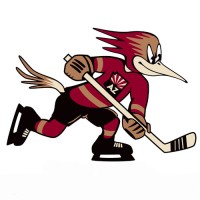 Tucson Roadrunners Logo