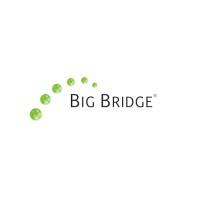 Big Bridge Logo