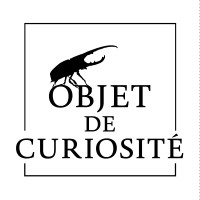 Objet de Curiosité Logo