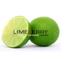 Limeberry Group Limited Logo
