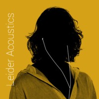 Leider Acoustics Logo