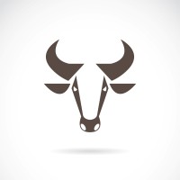 B. A. Bull, Inc. Logo