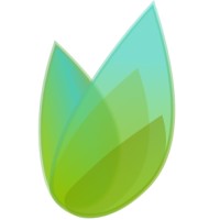 SpringTime Ventures Logo