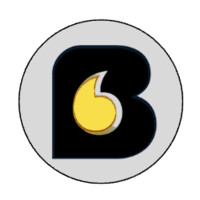 Bayer Strategic Consulting Logo