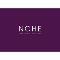 Niche Employment Solutions Ltd Logo