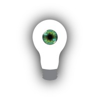 Eyebulb.Tours Logo