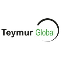 Teymur Global Logo