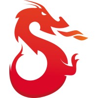 Services Dragonshield Logo