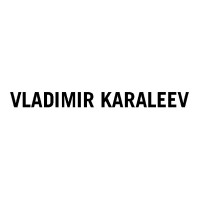 VLADIMIR KARALEEV Logo