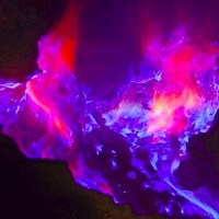 Vision In Motion Logo