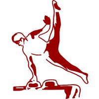 Stichting Topturnen Haaglanden & Westland Logo