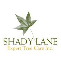 Shady Lane Expert Tree Care Logo