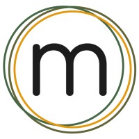 Maestro Travel Experience Logo