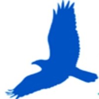 The Seahawk Logo