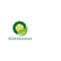IGN Andino Logo