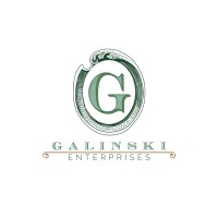 Galinski Enterprises Logo