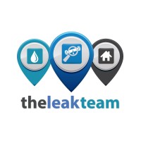 The Leak Team Logo