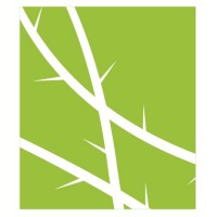 Briar Logo