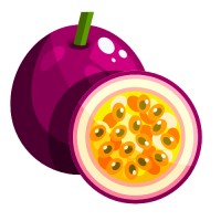 Passionweb Logo