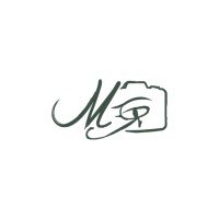 Mediagraphy Logo