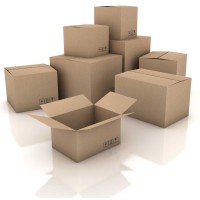 Perfect Pack Products Logo