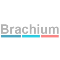 Brachium Tecnologia Logo