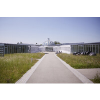 CAS Change & Innovation Management Logo