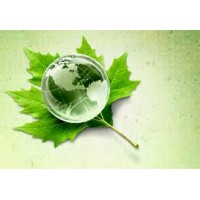 Licenciado Gonzalo Moran- Consultor Externo Logo